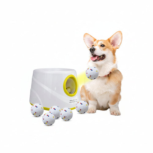 Automatic Ball Launcher for Dogs Dog Ball Thrower