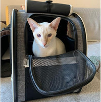 Cat Backpack Carrier Bubble Pet Carrier Backpack