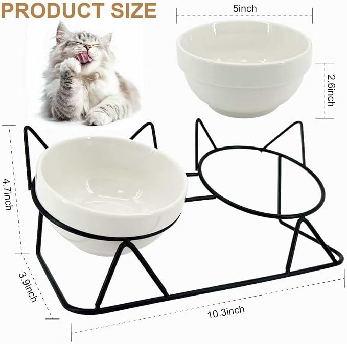 Elevated Cat Bowl Tilted Raised Cat Food Bowl Ceramic