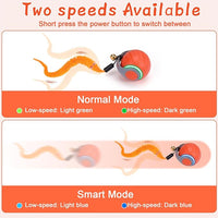 Interactive Cat Toy Ball – Automatic Moving Cat Toy