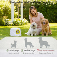 Automatic Ball Launcher for Dogs Dog Ball Thrower