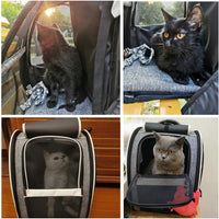 Cat Backpack Carrier Bubble Pet Carrier Backpack