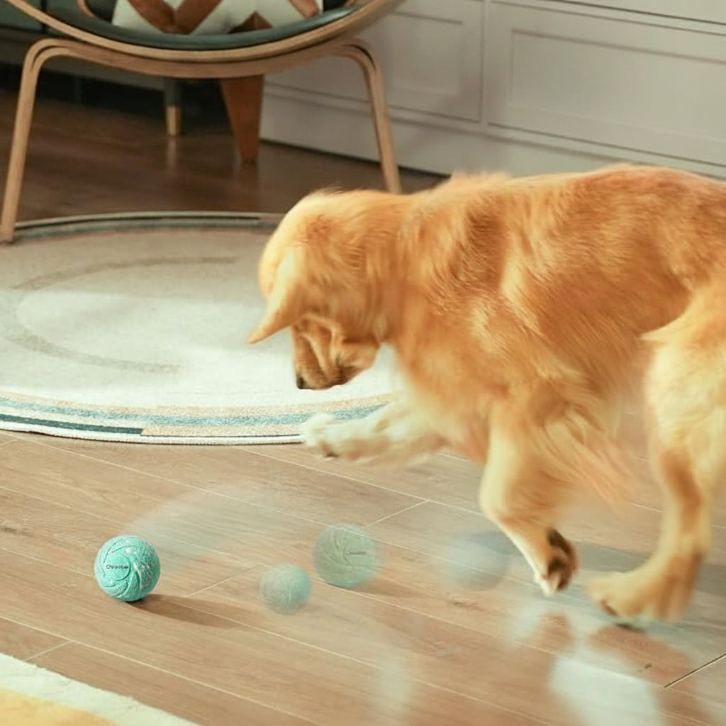 Interactive Dog Ball Self Moving Toy for Large Dogs