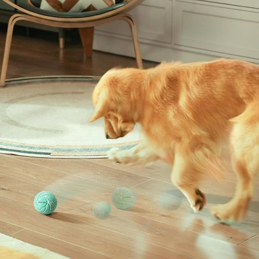 Interactive Dog Ball Self Moving Toy for Large Dogs