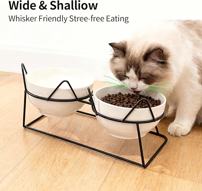 Elevated Cat Bowl Tilted Raised Cat Food Bowl Ceramic