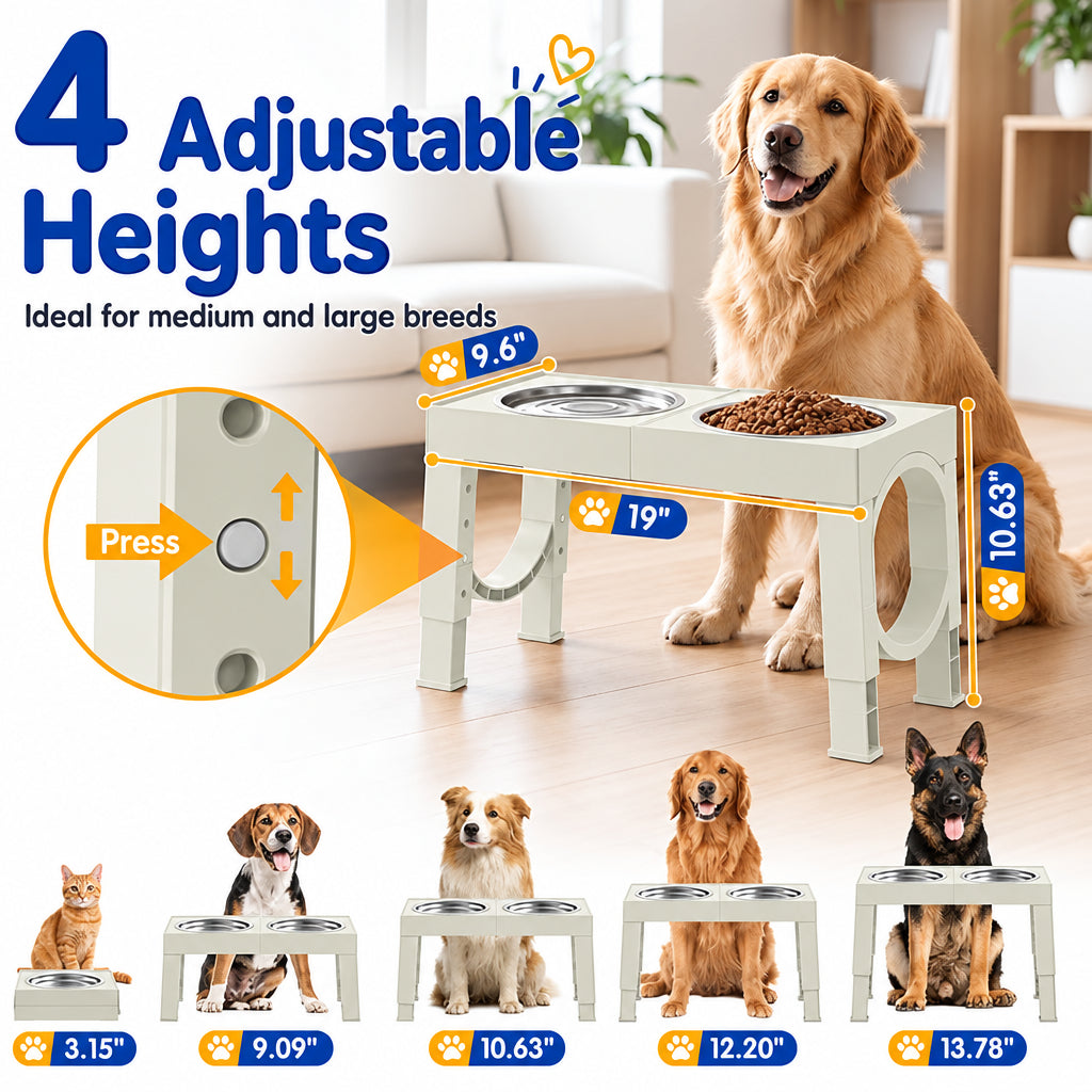 An adjustable dual pet feeder and water fountain shown in a home setting with a golden retriever, plus text and diagrams explaining four adjustable heights. The feeder is off-white with stainless steel bowls, and smaller dog and cat photos at the bottom show height options for different breeds.