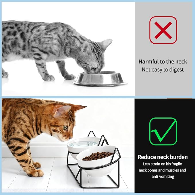Elevated Cat Bowl Tilted Raised Cat Food Bowl Ceramic