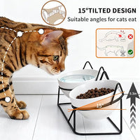 Elevated Cat Bowl Tilted Raised Cat Food Bowl Ceramic