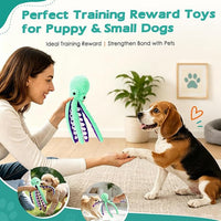 Squeaky Dog Toys Octopus Plush Dog Toy for Puppies