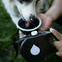 Retractable Dog Leash with Water Bottle  Leash
