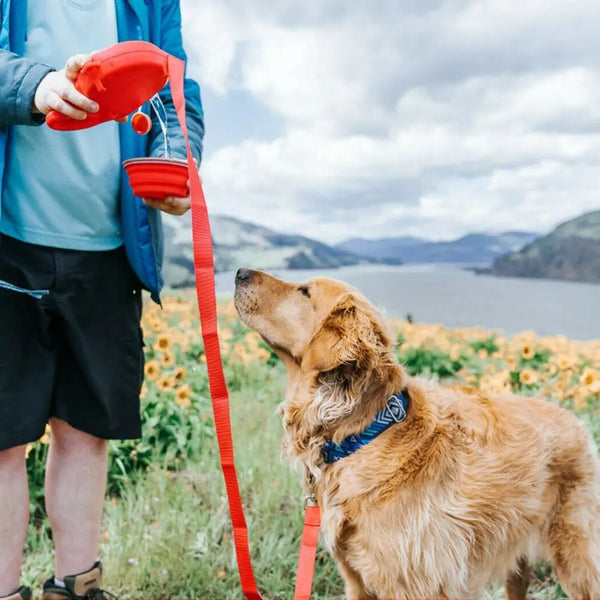 Retractable Dog Leash with Water Bottle  Leash